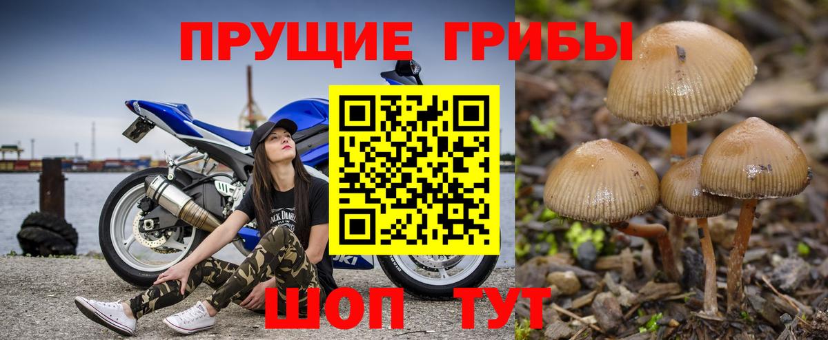 Галлюциногенные грибы мицелий Ессентуки