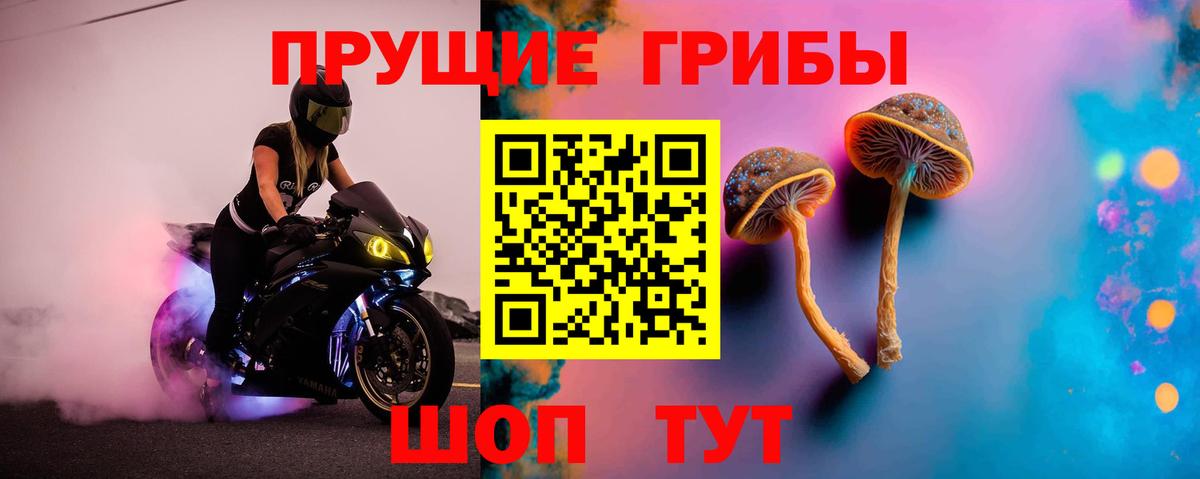 Галлюциногенные грибы Psilocybe  Вход с VPN  Галлюциногенные грибы Magic Shrooms  Ессентуки 